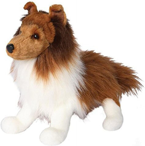 Douglas whispy sheltie dog - douglas,