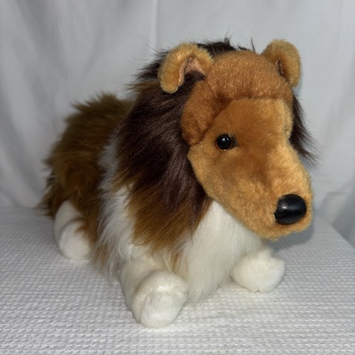 Douglas collie sheltie dog - douglas,