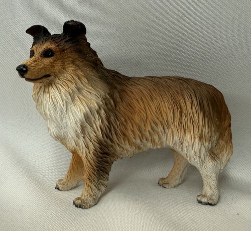 Sable sheltie dog - sheltie,